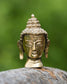 Harmonious Buddha Head