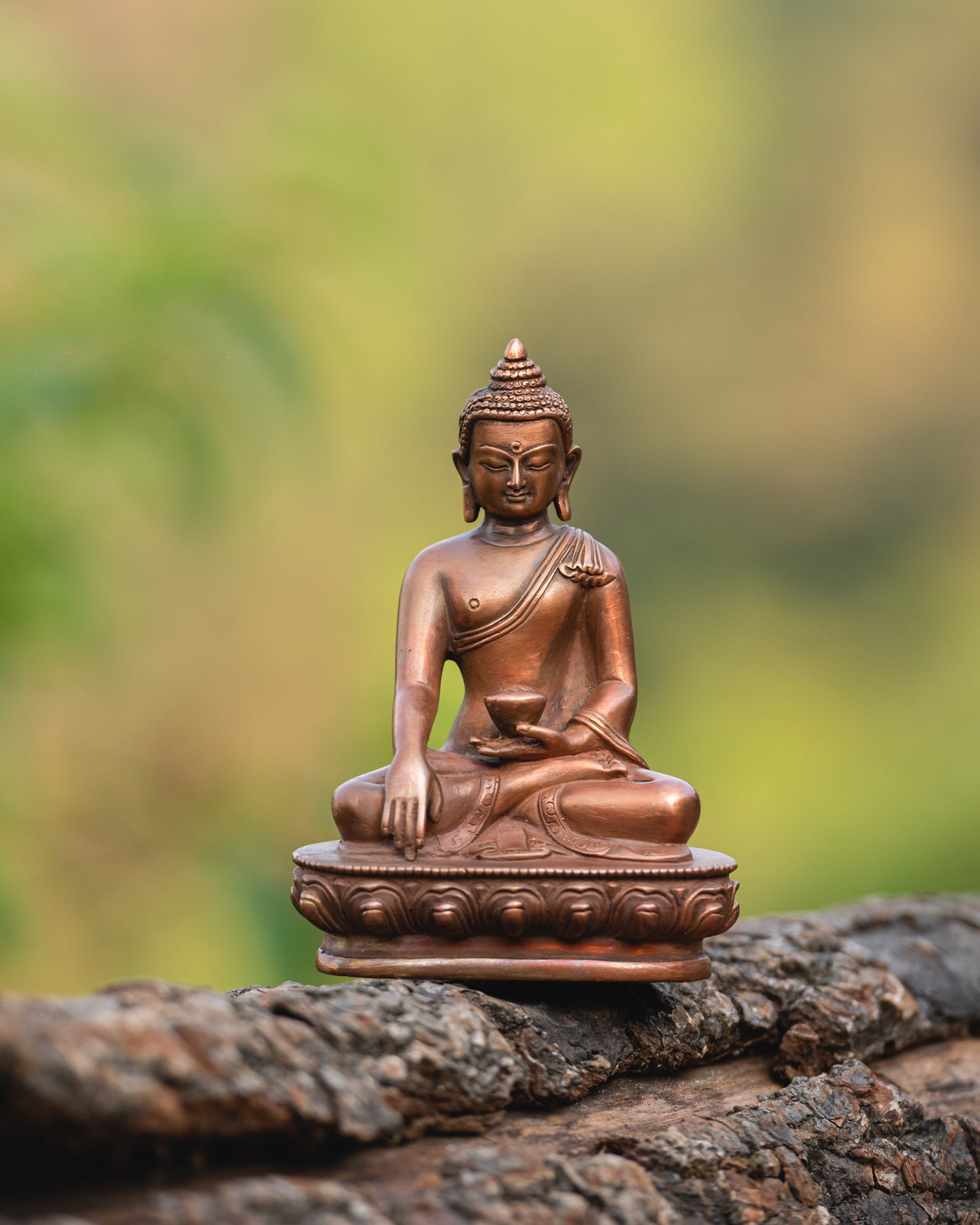 Meditative Buddha Statue